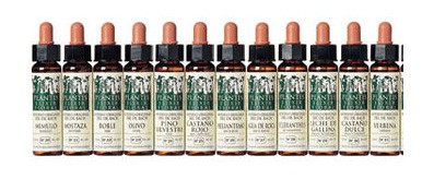 Larch ALERCE-19 ELIXIR FLORAL ECO