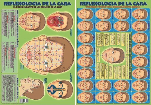 RELFEXOLOGIA DE LA CARA