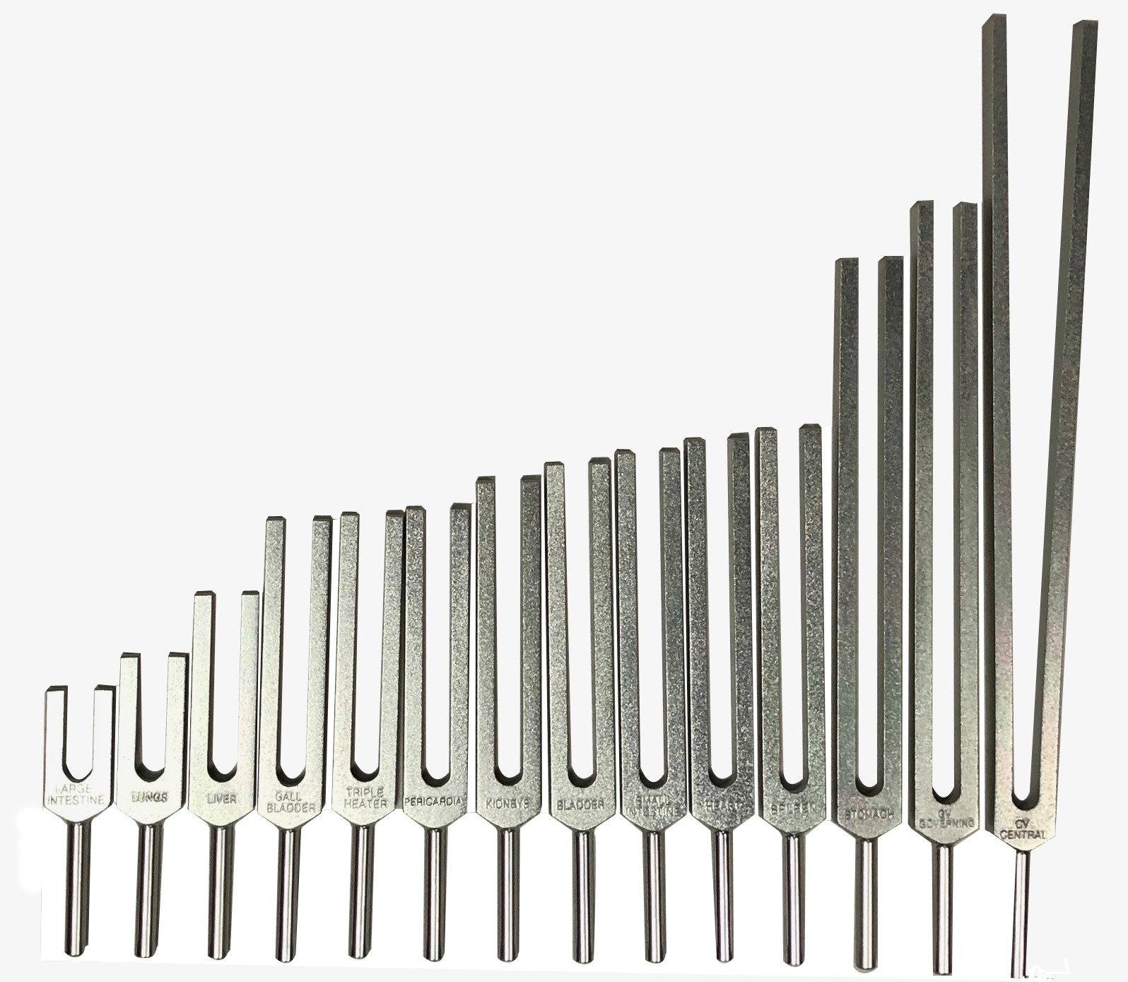 SET 14 diapasones Meridianos