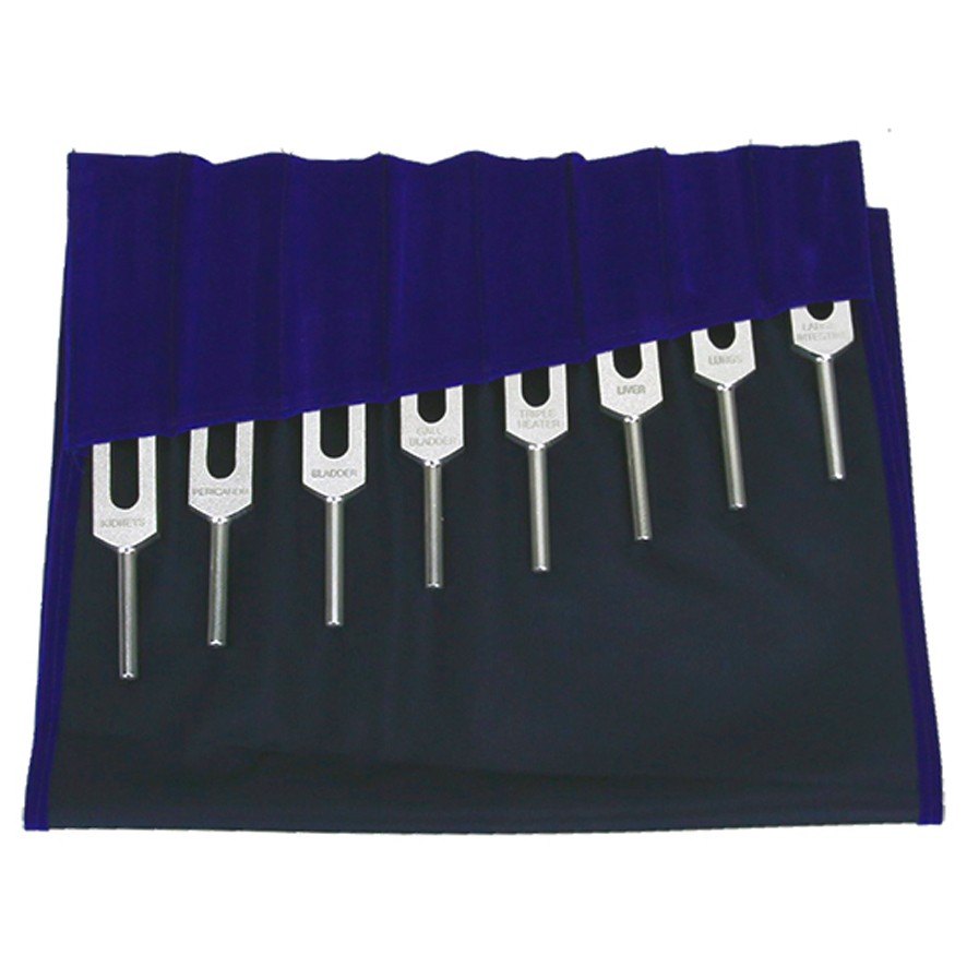 SET 14 diapasones Meridianos - Imagen 3