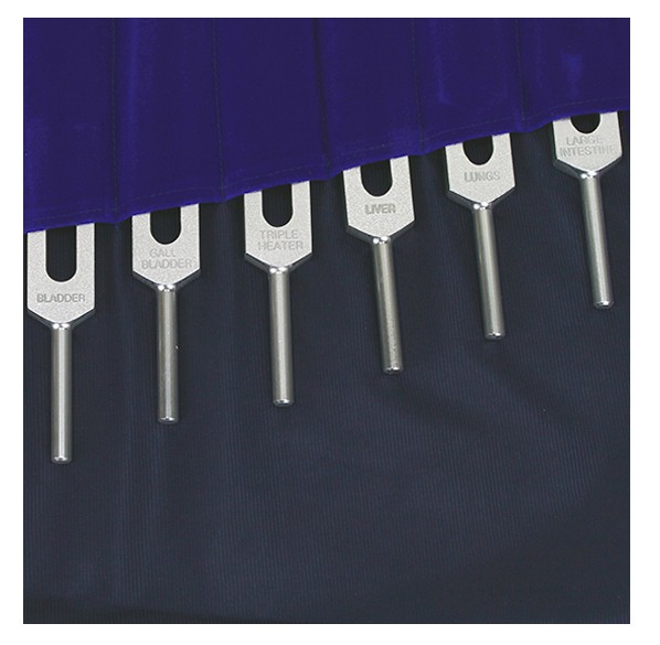 SET 14 diapasones Meridianos - Imagen 4