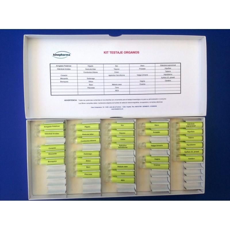 Test de órganos básico - Imagen 3